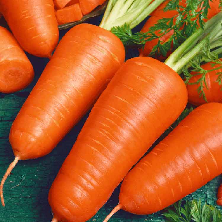 как хранить морковь в квартире